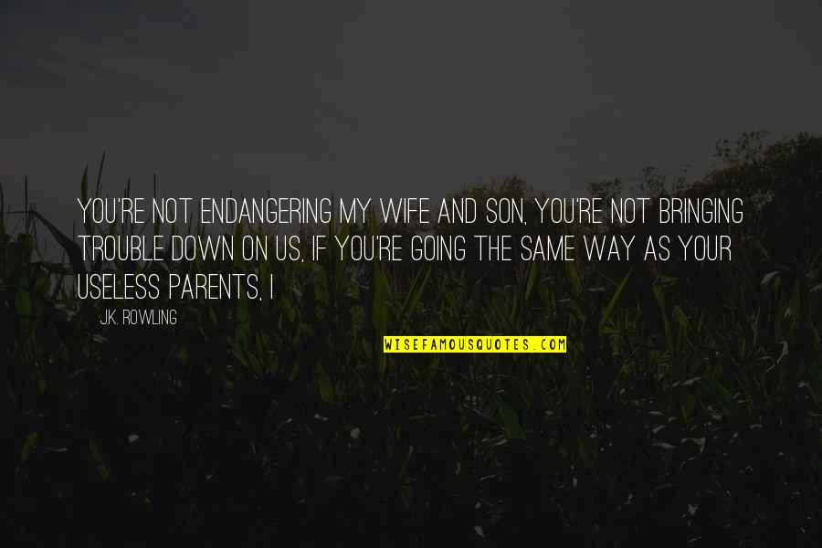 You're Going Down Quotes By J.K. Rowling: You're not endangering my wife and son, you're