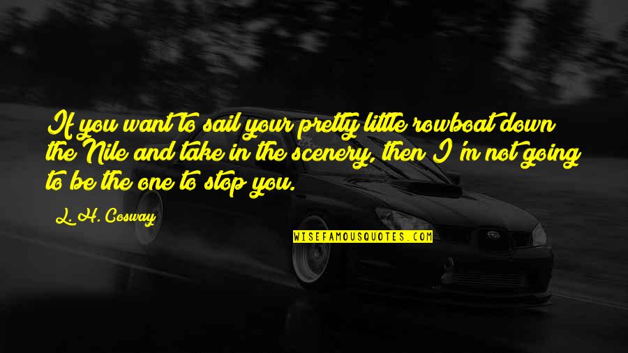 You're Going Down Quotes By L. H. Cosway: If you want to sail your pretty little