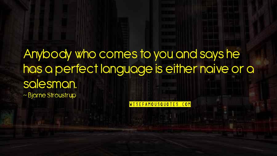 You're Not Perfect Either Quotes By Bjarne Stroustrup: Anybody who comes to you and says he