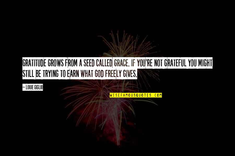 You're Not Trying Quotes By Louie Giglio: Gratitude grows from a seed called grace. If