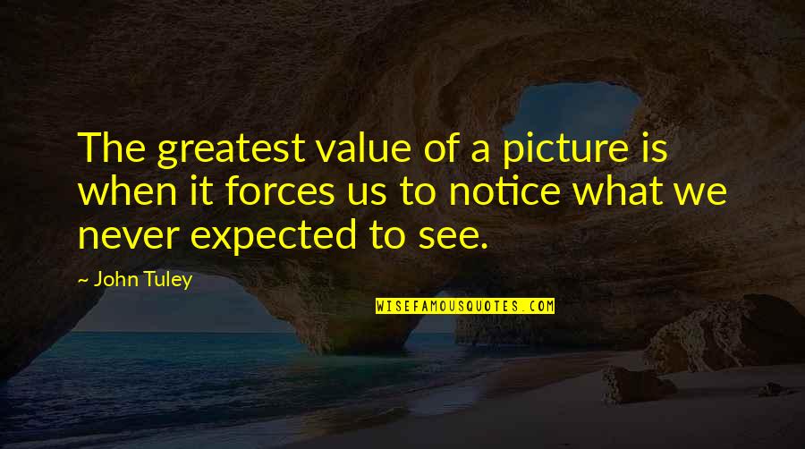 Yourvets Quotes By John Tuley: The greatest value of a picture is when