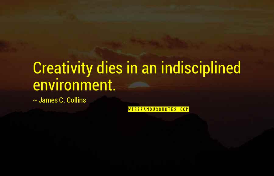 Ysl Fashion Quotes By James C. Collins: Creativity dies in an indisciplined environment.