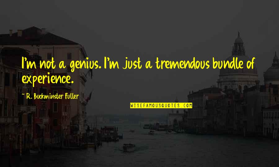 Zakharina Quotes By R. Buckminster Fuller: I'm not a genius. I'm just a tremendous