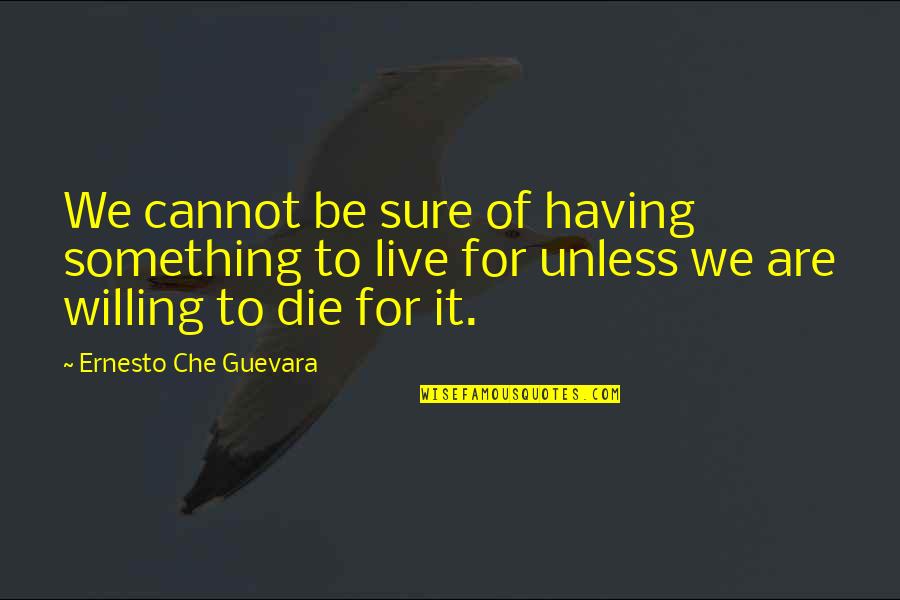 Zeta Phi Omega Quotes By Ernesto Che Guevara: We cannot be sure of having something to