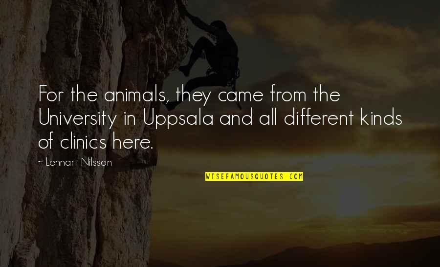 Zhang Sanfeng Quotes By Lennart Nilsson: For the animals, they came from the University