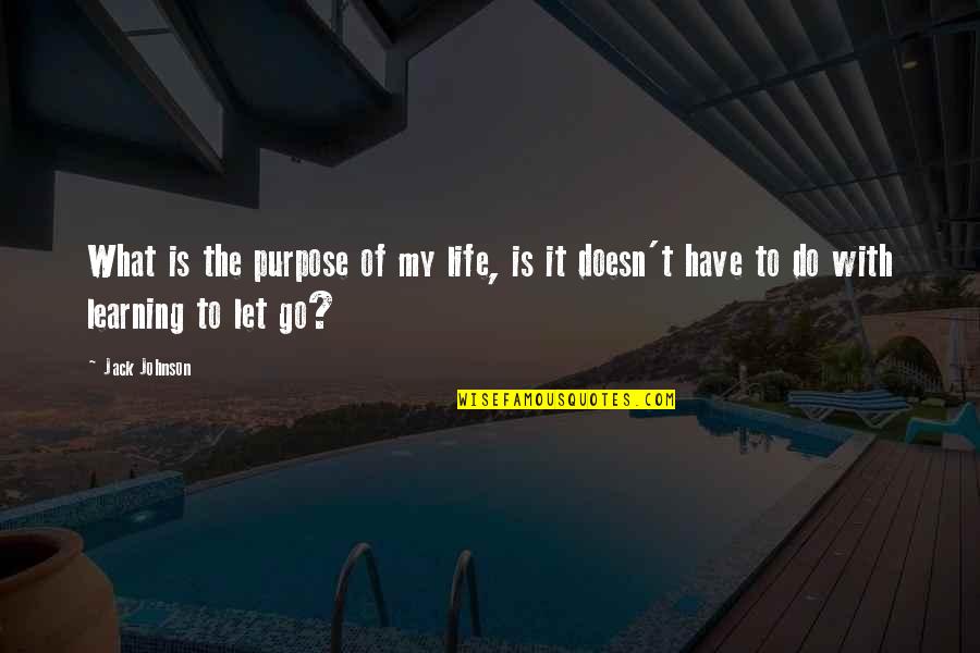 Zombam Da Quotes By Jack Johnson: What is the purpose of my life, is