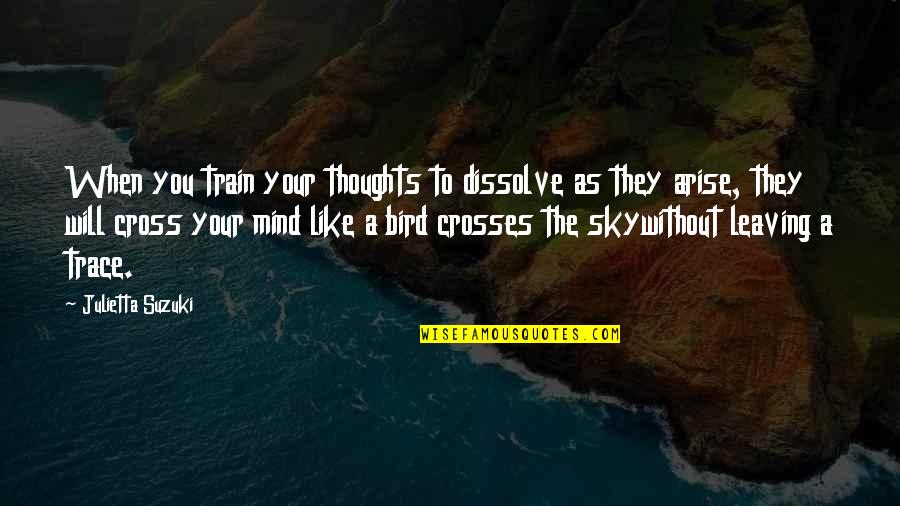 Zondwa Mandela Quotes By Julietta Suzuki: When you train your thoughts to dissolve as