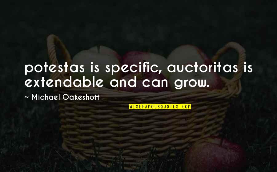 Zonkers Uncle Quotes By Michael Oakeshott: potestas is specific, auctoritas is extendable and can