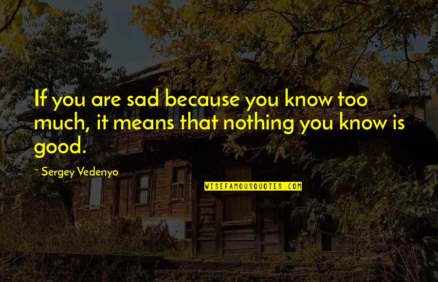 Zorra Quotes By Sergey Vedenyo: If you are sad because you know too