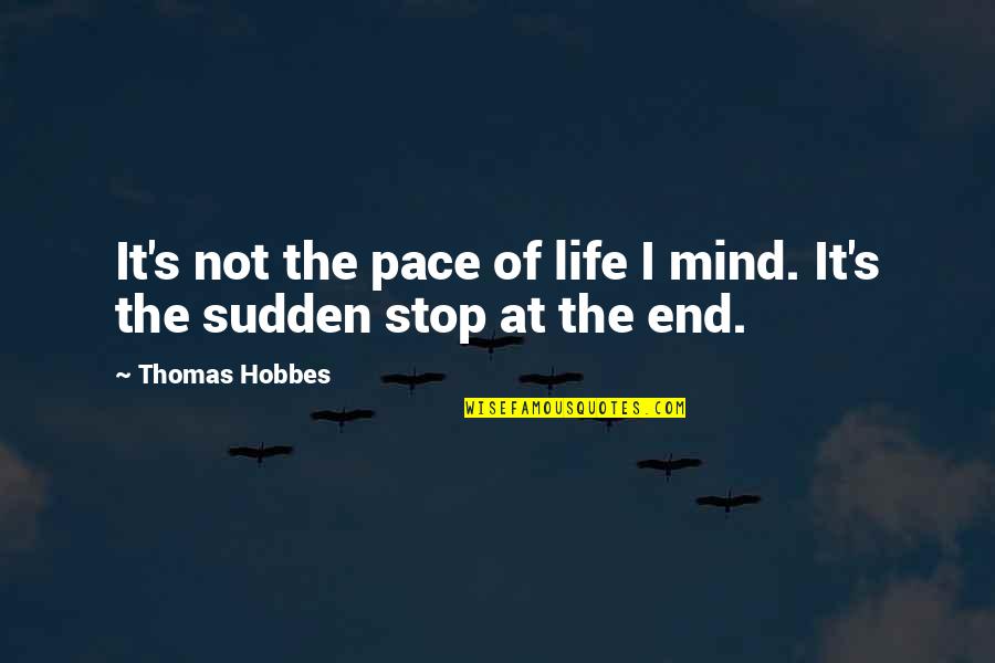 Zwering Quotes By Thomas Hobbes: It's not the pace of life I mind.