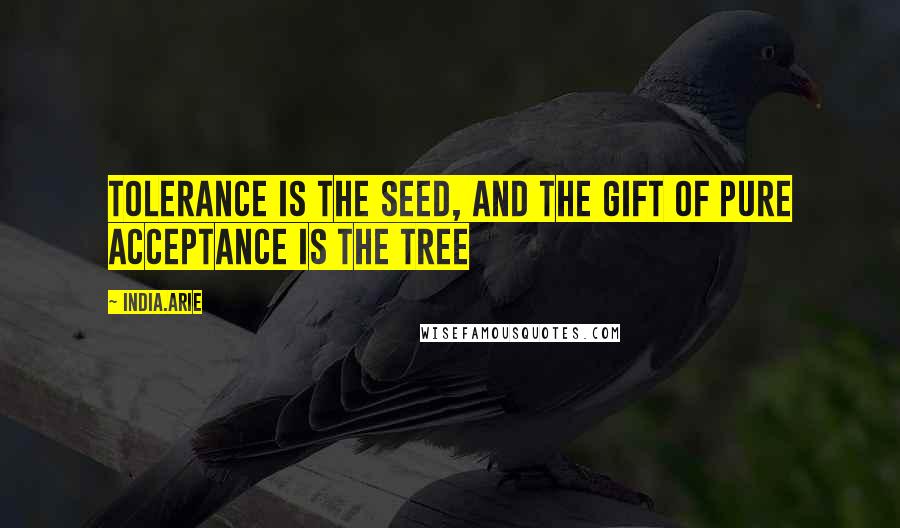 India.Arie Quotes: Tolerance is the seed, and the gift of pure acceptance is the tree