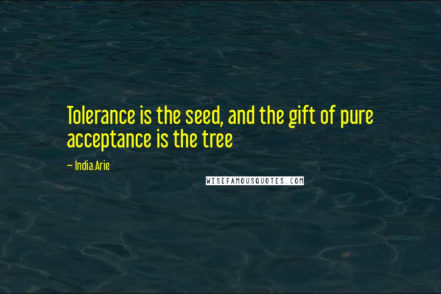 India.Arie Quotes: Tolerance is the seed, and the gift of pure acceptance is the tree