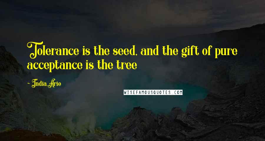 India.Arie Quotes: Tolerance is the seed, and the gift of pure acceptance is the tree