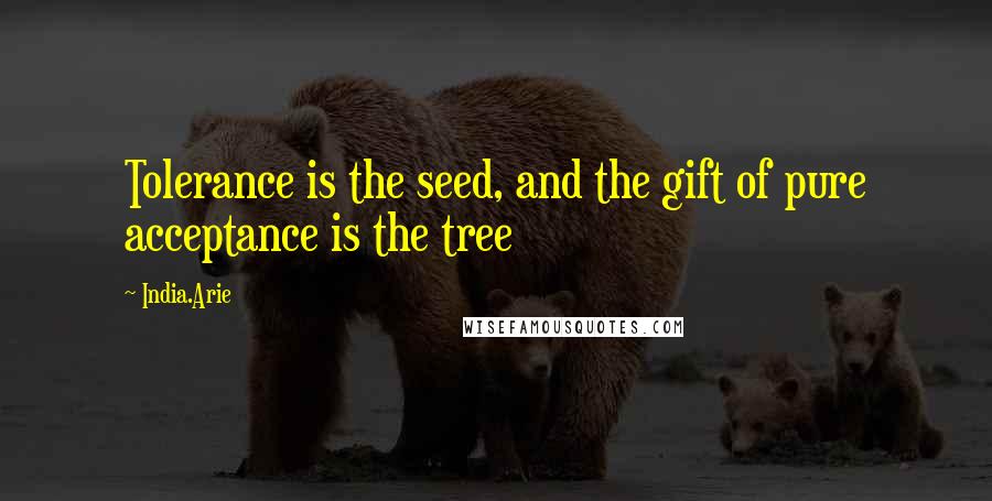 India.Arie Quotes: Tolerance is the seed, and the gift of pure acceptance is the tree