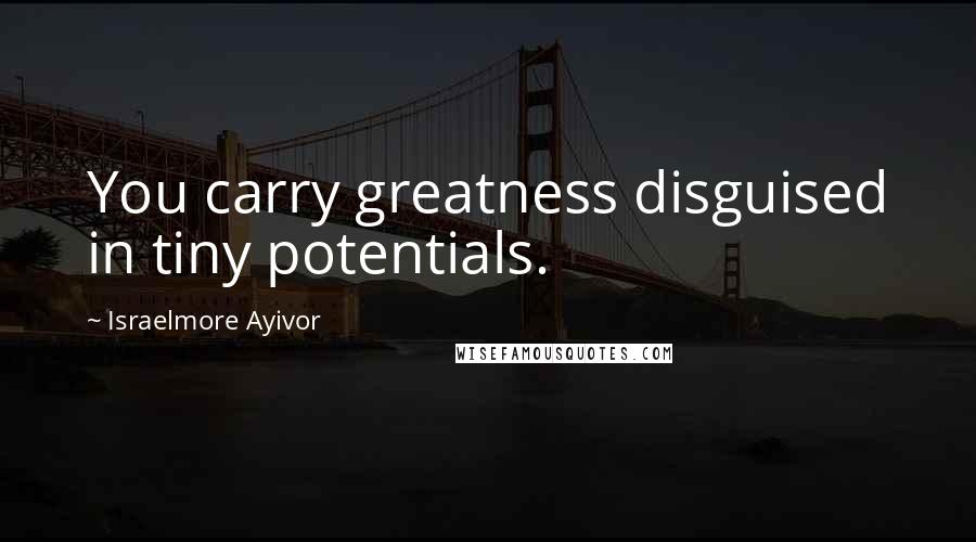 Israelmore Ayivor Quotes: You carry greatness disguised in tiny potentials.