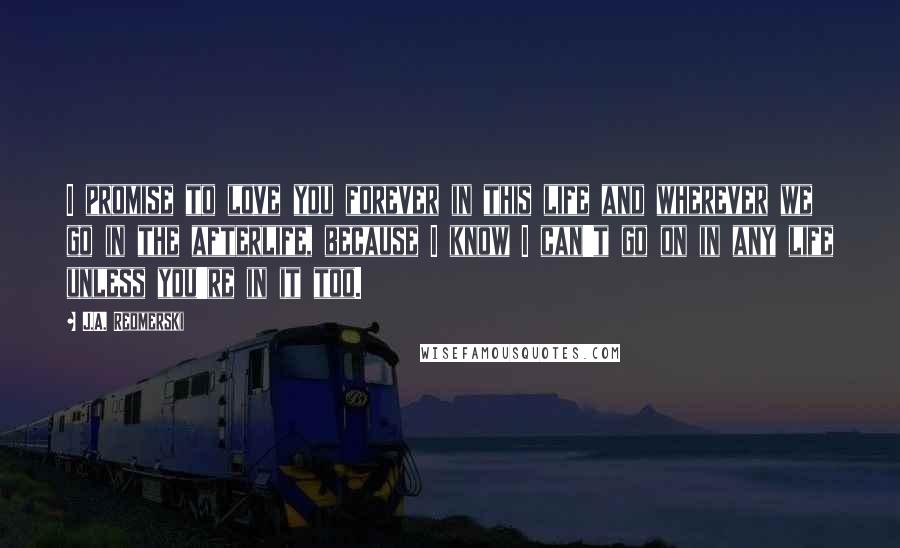 J.A. Redmerski Quotes: I promise to love you forever in this life and wherever we go in the afterlife, because I know I can't go on in any life unless you're in it too.