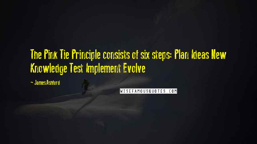 James Ashford Quotes: The Pink Tie Principle consists of six steps: Plan Ideas New Knowledge Test Implement Evolve