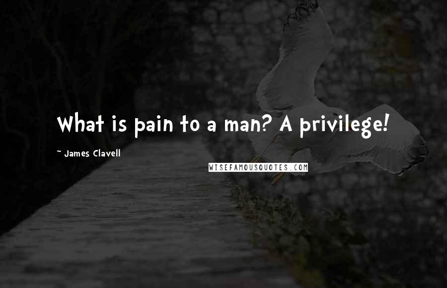 James Clavell Quotes: What is pain to a man? A privilege!