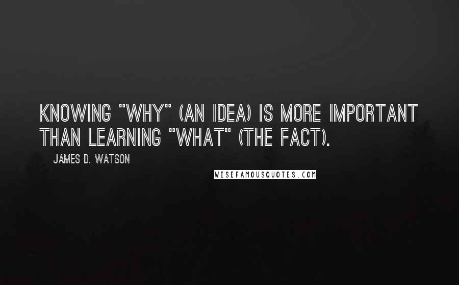 James D. Watson Quotes: Knowing "why" (an idea) is more important than learning "what" (the fact).