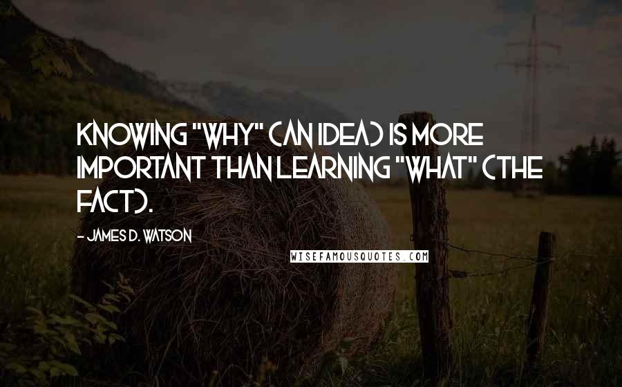 James D. Watson Quotes: Knowing "why" (an idea) is more important than learning "what" (the fact).