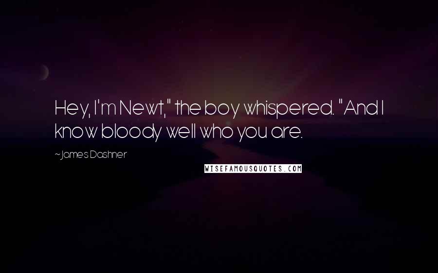 James Dashner Quotes: Hey, I'm Newt," the boy whispered. "And I know bloody well who you are.