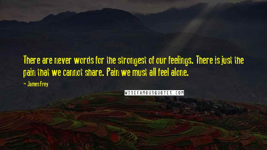 James Frey Quotes: There are never words for the strongest of our feelings. There is just the pain that we cannot share. Pain we must all feel alone.