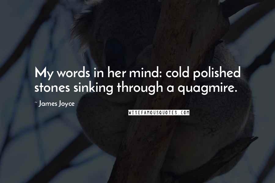 James Joyce Quotes: My words in her mind: cold polished stones sinking through a quagmire.