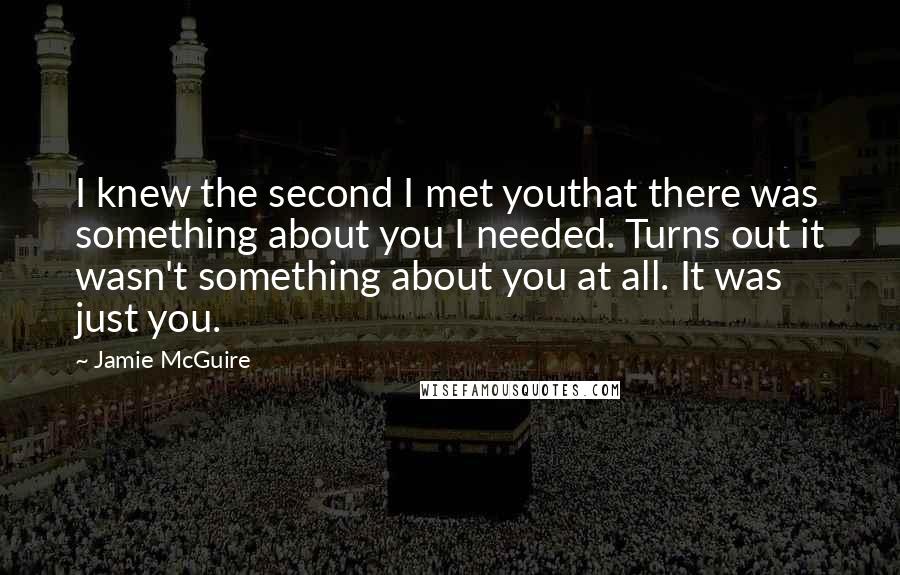 Jamie McGuire Quotes: I knew the second I met youthat there was something about you I needed. Turns out it wasn't something about you at all. It was just you.