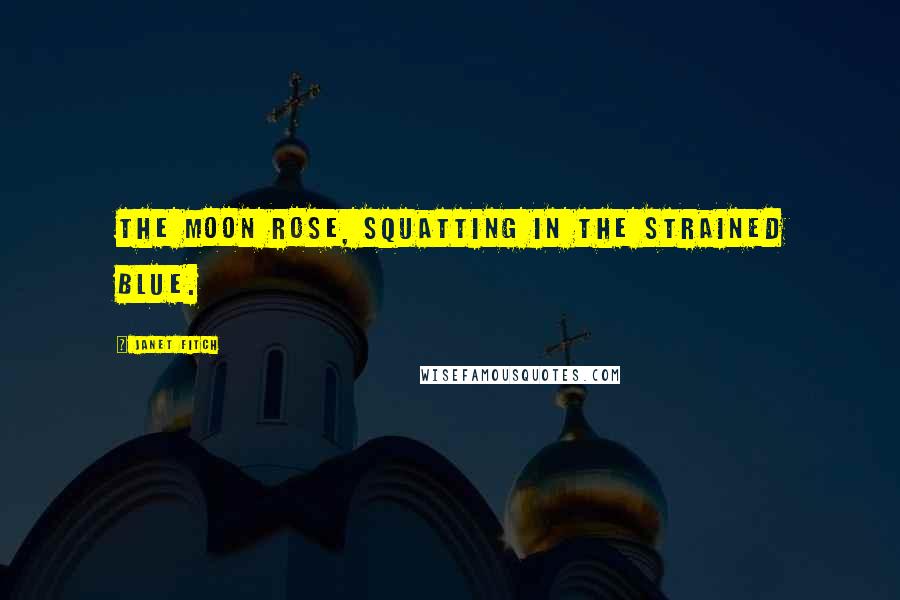 Janet Fitch Quotes: The moon rose, squatting in the strained blue.