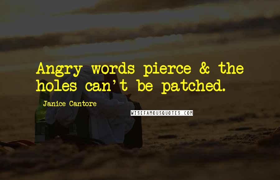 Janice Cantore Quotes: Angry words pierce & the holes can't be patched.