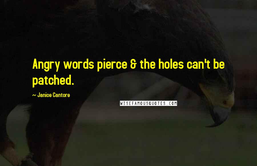 Janice Cantore Quotes: Angry words pierce & the holes can't be patched.