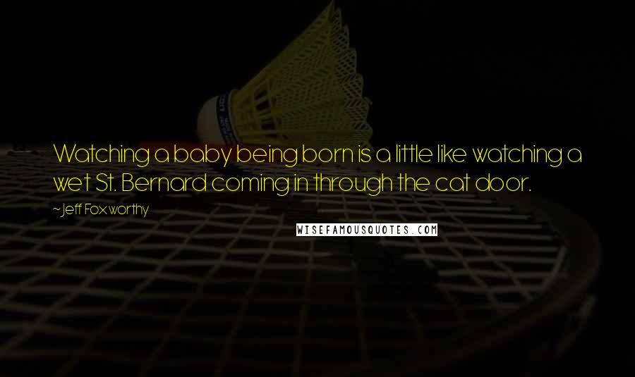 Jeff Foxworthy Quotes: Watching a baby being born is a little like watching a wet St. Bernard coming in through the cat door.