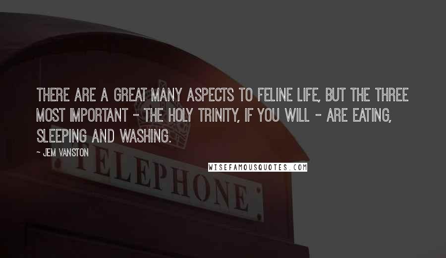 Jem Vanston Quotes: There are a great many aspects to feline life, but the three most important - the Holy Trinity, if you will - are eating, sleeping and washing.