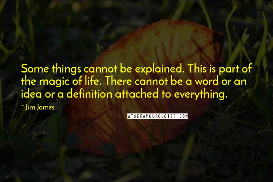 Jim James Quotes: Some things cannot be explained. This is part of the magic of life. There cannot be a word or an idea or a definition attached to everything.