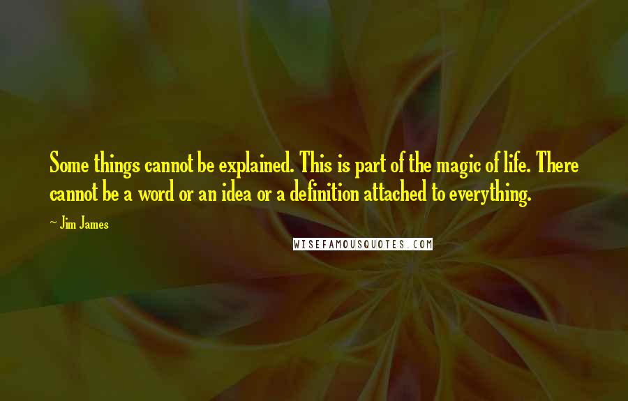 Jim James Quotes: Some things cannot be explained. This is part of the magic of life. There cannot be a word or an idea or a definition attached to everything.