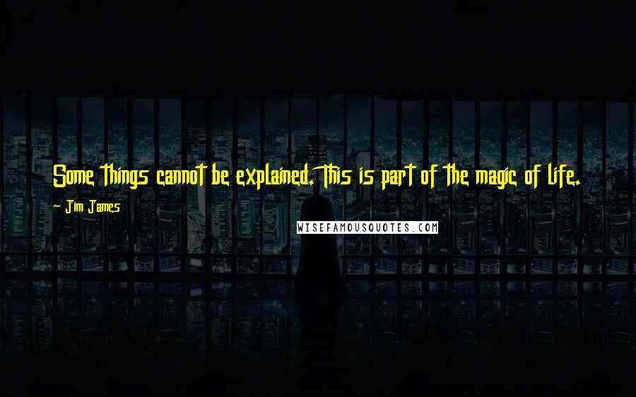 Jim James Quotes: Some things cannot be explained. This is part of the magic of life. There cannot be a word or an idea or a definition attached to everything.