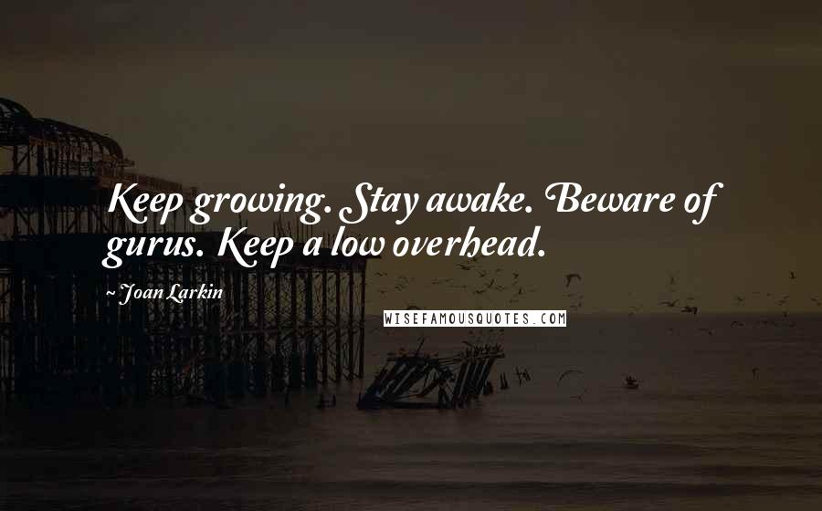 Joan Larkin Quotes: Keep growing. Stay awake. Beware of gurus. Keep a low overhead.