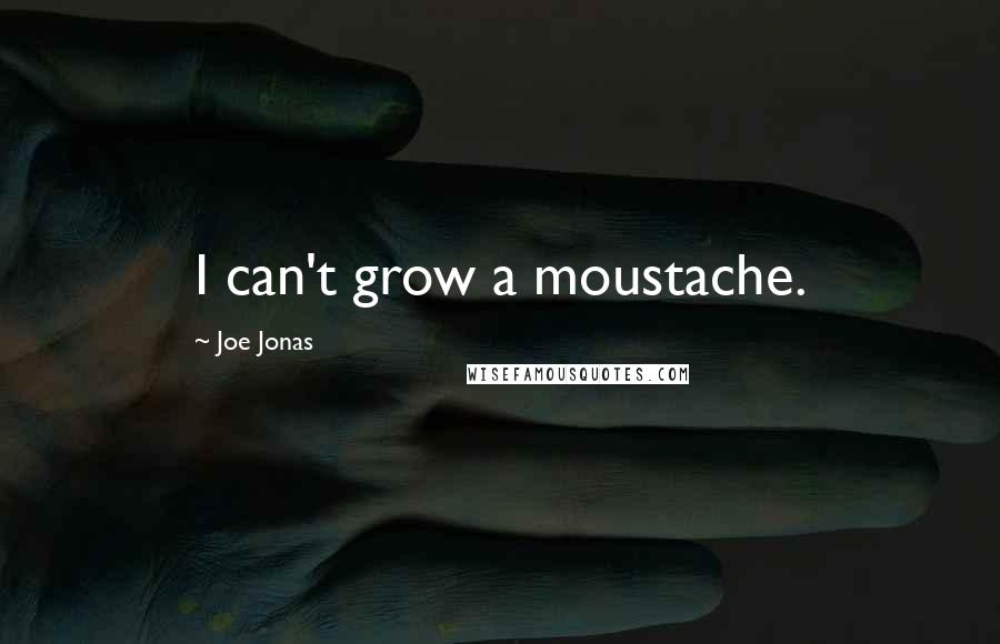 Joe Jonas Quotes: I can't grow a moustache.