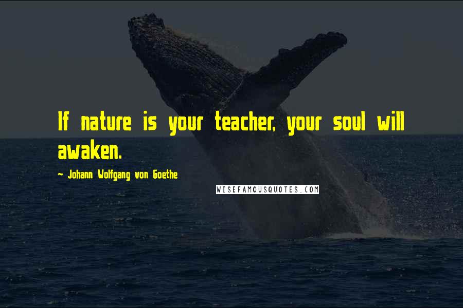 Johann Wolfgang Von Goethe Quotes: If nature is your teacher, your soul will awaken.