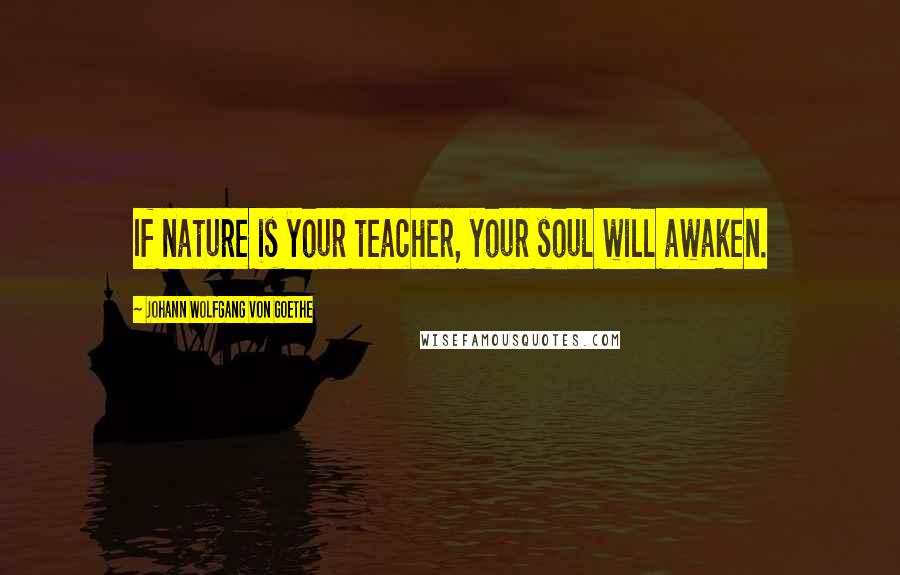 Johann Wolfgang Von Goethe Quotes: If nature is your teacher, your soul will awaken.