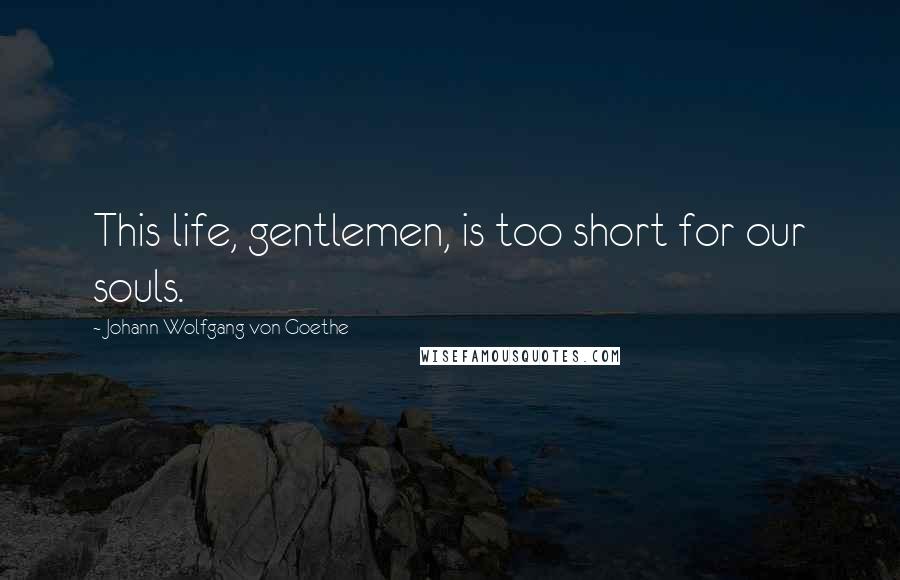 Johann Wolfgang Von Goethe Quotes: This life, gentlemen, is too short for our souls.