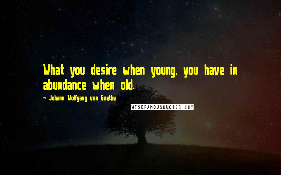 Johann Wolfgang Von Goethe Quotes: What you desire when young, you have in abundance when old.