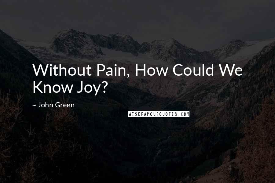 John Green Quotes: Without Pain, How Could We Know Joy?