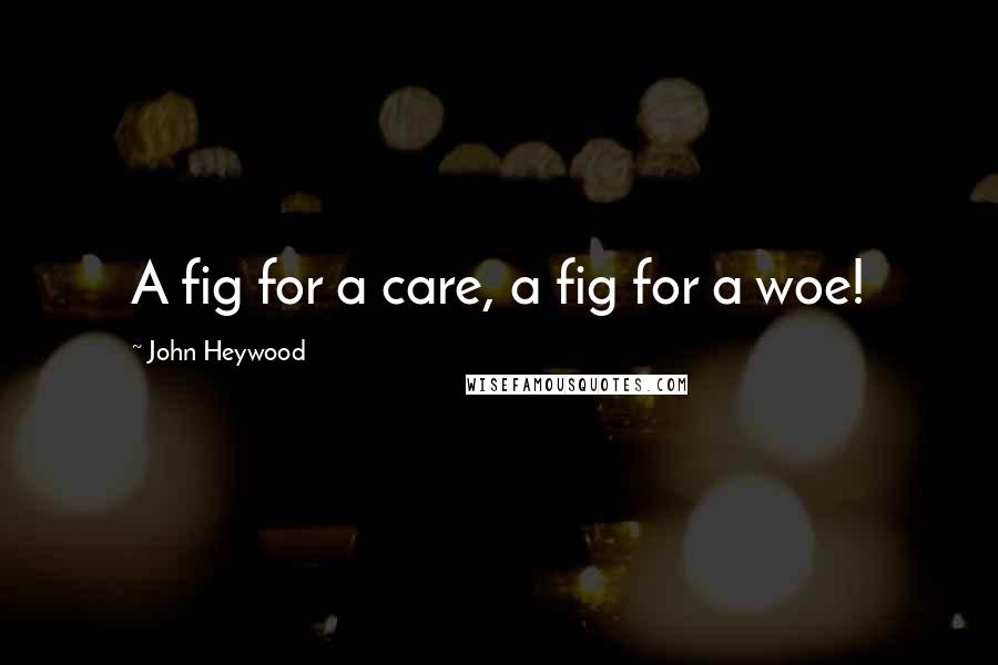 John Heywood Quotes: A fig for a care, a fig for a woe!