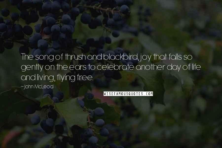 John McLeod Quotes: The song of thrush and blackbird, joy that falls so gently on the ears to celebrate another day of life and living, flying free.