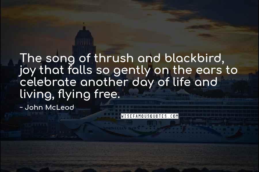 John McLeod Quotes: The song of thrush and blackbird, joy that falls so gently on the ears to celebrate another day of life and living, flying free.