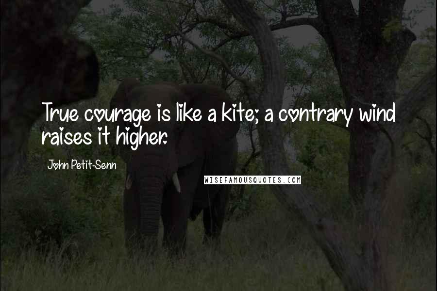 John Petit-Senn Quotes: True courage is like a kite; a contrary wind raises it higher.