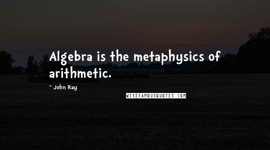 John Ray Quotes: Algebra is the metaphysics of arithmetic.