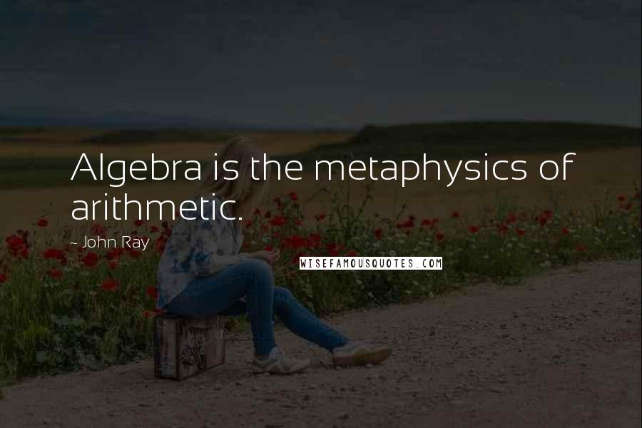 John Ray Quotes: Algebra is the metaphysics of arithmetic.