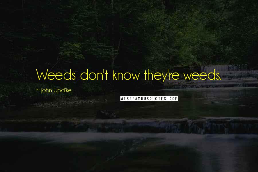 John Updike Quotes: Weeds don't know they're weeds.